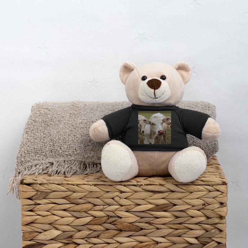 Affiche vache Nounours
