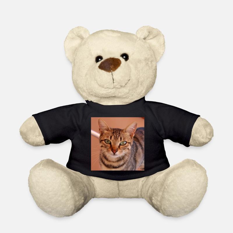 Katze Kätzchen Poster quadratisch Katzenposter - Teddy - Schwarz