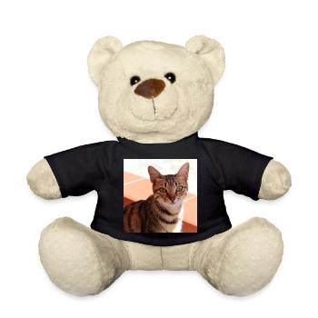 Katze Kätzchen Poster quadratisch Katzenposter - Teddy - Schwarz - Vorne