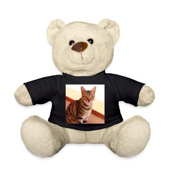 Katze Kätzchen Poster quadratisch Katzenposter - Teddy - Schwarz - Vorne