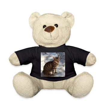 Katze Kätzchen Poster quadratisch Katzenposter - Teddy - Schwarz - Vorne