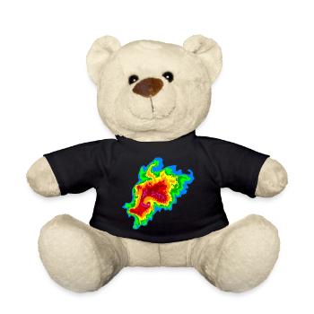 Joplin , Tornado, Radar, Stormchaser - Teddy Bear - black - Front