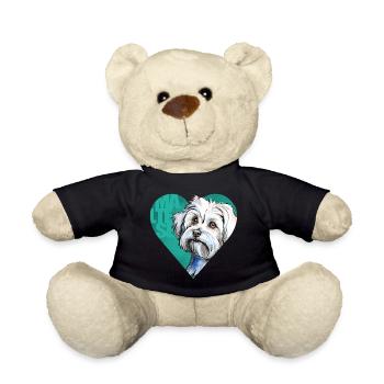 Malteser Portrait - Teddy - Schwarz - Vorne