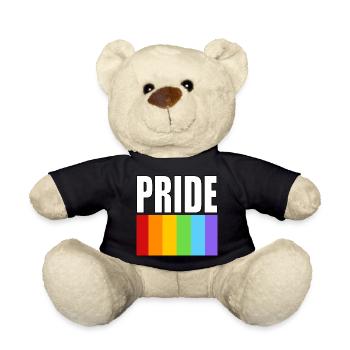 Pride Regenbogenflagge sauberes Design mit fettem Text - Teddy - Schwarz - Vorne