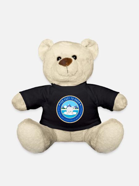 Polar Bears are classified as marine mammals - Teddy Bear - black