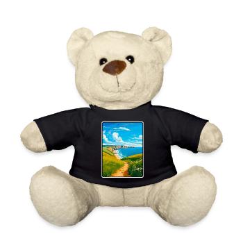Pembrokeshire Wales Reiseplakat Stadtbild WPA - Teddy - Schwarz - Vorne