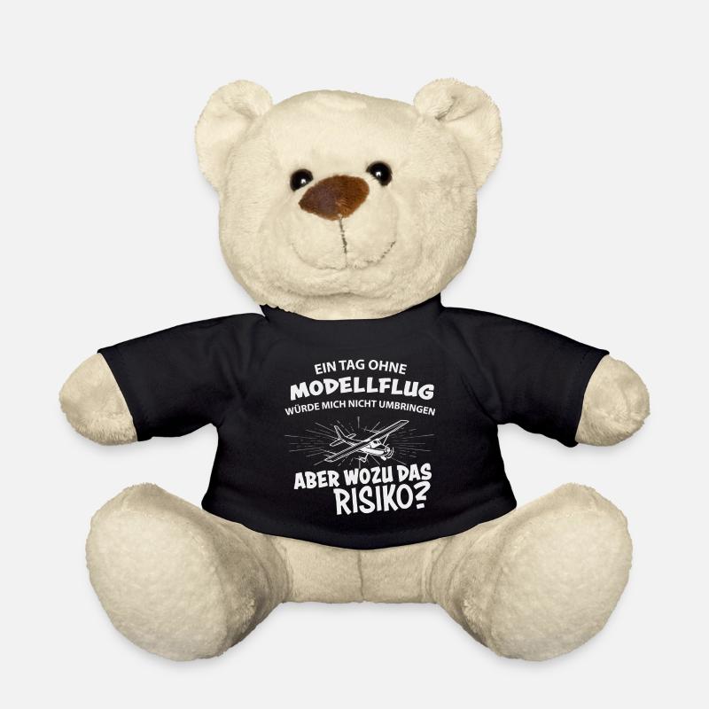 Modellflug RC Flugzeug Modellflieger - Teddy - Schwarz