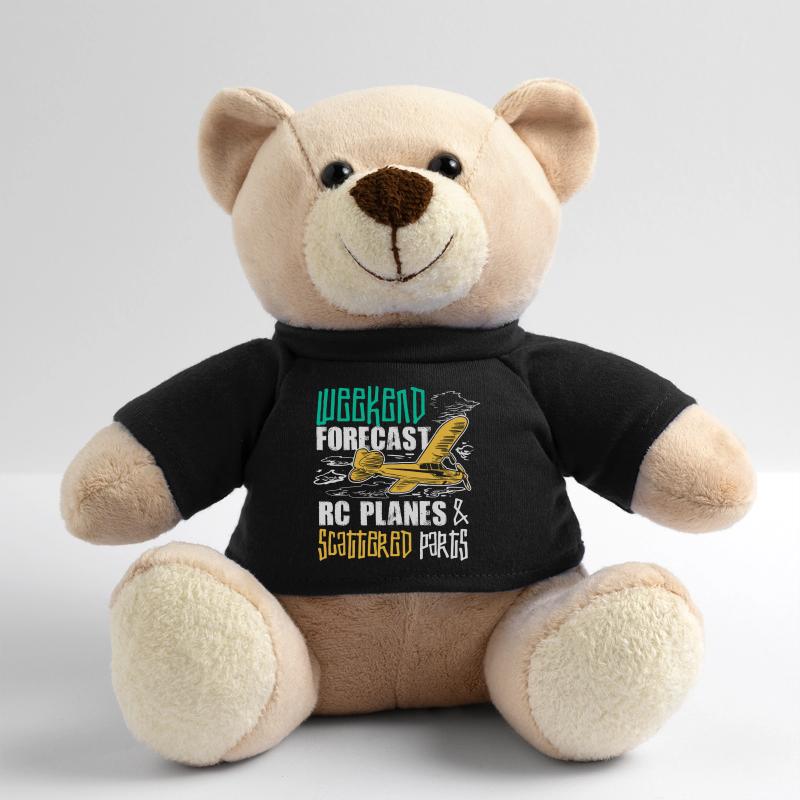 RC cadeau d’avion pour un rc pilot Nounours