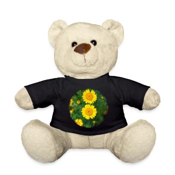 Dyer's chamomile (Anthemis tinctoria) - Teddy Bear - black - Front