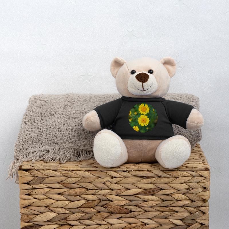 Dyer's chamomile (Anthemis tinctoria) Teddy Bear