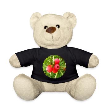 The yew, a native conifer - Teddy Bear - black - Front