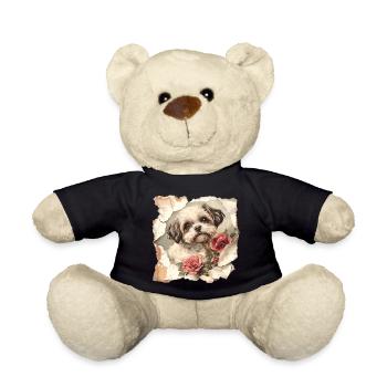 Shih Tzu - Teddy - Schwarz - Vorne