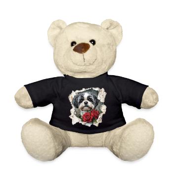 Shih Tzu - Teddy - Schwarz - Vorne