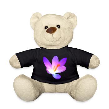 wonderful crocus - flowering in purple in spring - Teddy Bear - black - Front