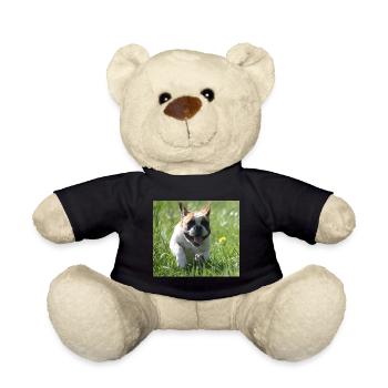 Allez Bully Go Français Bulldog - Nounours - noir - Devant