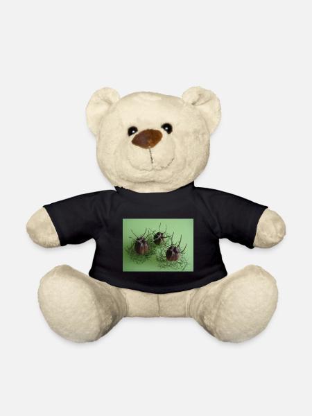 Black cumin capsules - healthy herbs ... - Teddy Bear - black