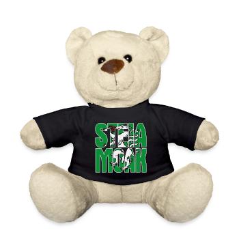Steiamoak Geschenk Steiermark Wappen Steirer - Teddy - Schwarz - Vorne