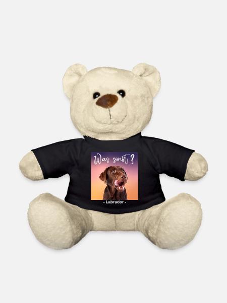 Was sonst brauner Labrador - Teddy - Schwarz