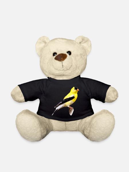Amerikanischer Stieglitz - Teddy - Schwarz