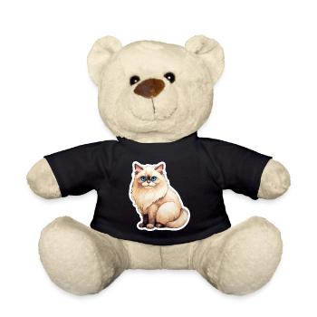 Ragdoll Katze - Teddy - Schwarz - Vorne