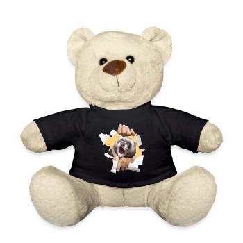 Ein Frettchen zu Hause - Teddy - Schwarz - Vorne