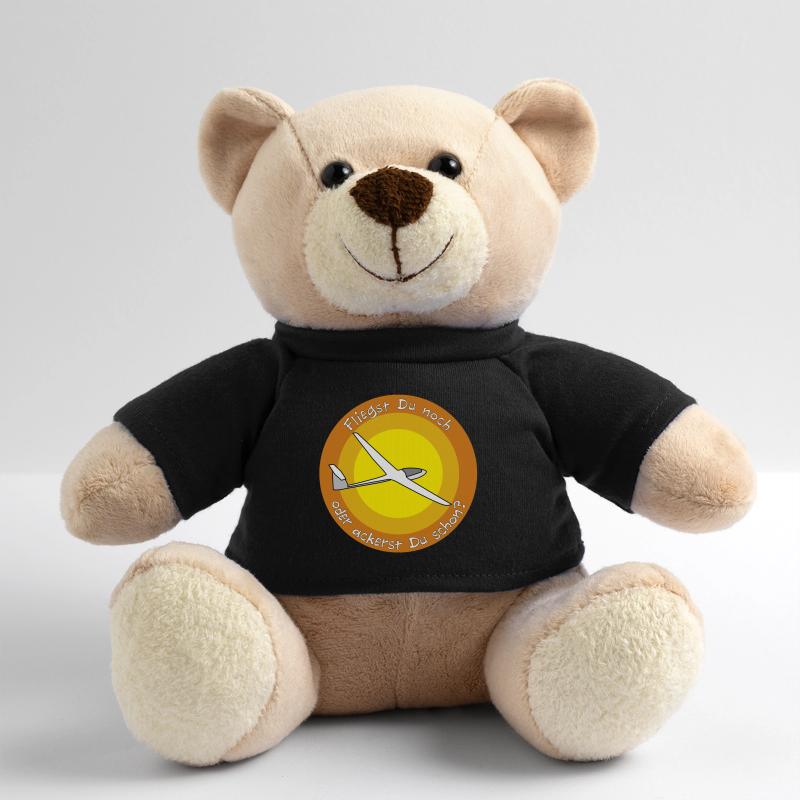 fliegst Du noch Teddy