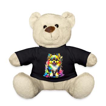 Pommerscher Welpe – Regenbogen - Teddy - Schwarz - Vorne