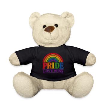 Pride Love Wins Regenbogen Vintage T-Shirt Sticker - Teddy - Schwarz - Vorne