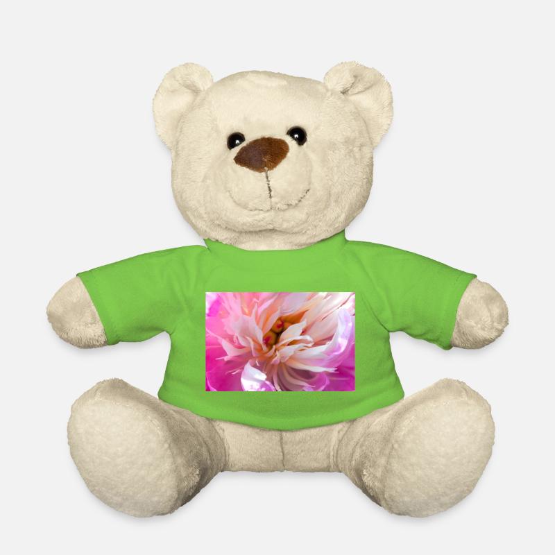 Gros plan de pivoine rose - Nounours - vert clair