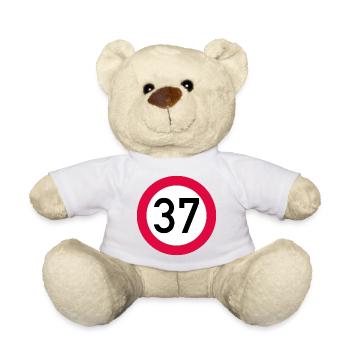 37th birthday Attention! Traffic sign 37 Km/h - Teddy Bear - light green - Front