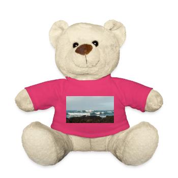 Cadeau souvenir Bretagne - Nounours - rose - Devant