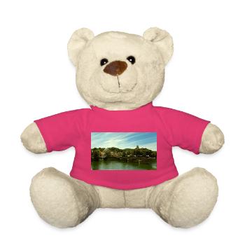 Panorama der Stadt am Fluss und an der Brücke - Teddy - Pink - Vorne