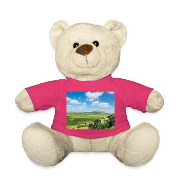 Paysage steppe avec un lac - Nounours - rose - Devant