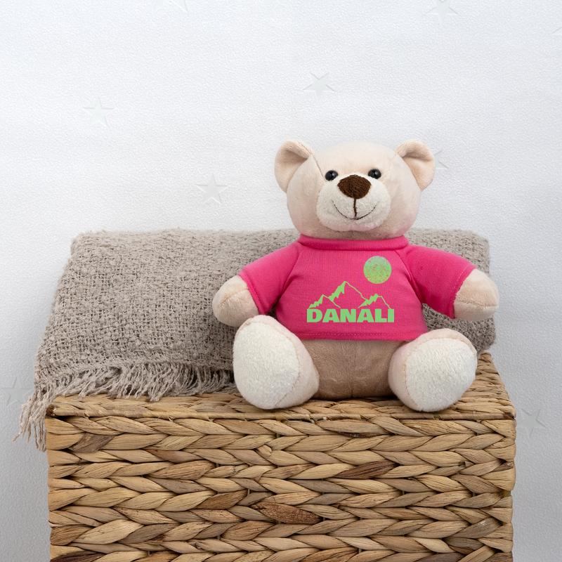 Gift for Danali Teddy Bear