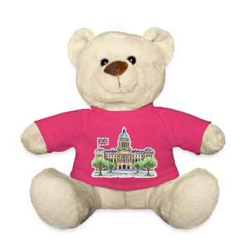 Maison du Conseil Victoria Sq de Birmingham Skyline - Nounours - rose - Devant