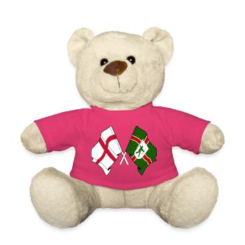 Nottinghamshire × England Flags - Teddy Bear - pink - Front