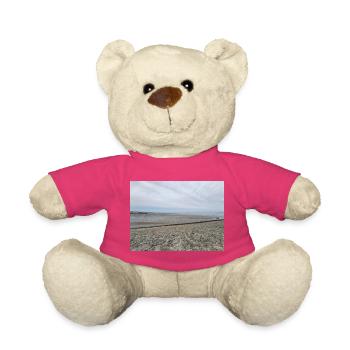 Image de sable et d’eau de la côte de la mer du Nord - Nounours - rose - Devant