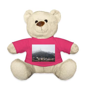 Reichsburg Cochem an der Mosel  - Teddy - Pink - Vorne