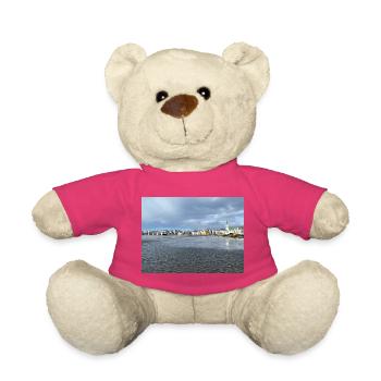 Winterpanorama von Reykjavik - Teddy - Pink - Vorne