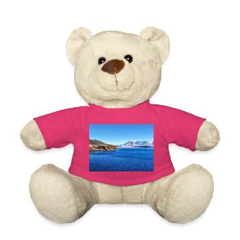 Arktische Traumberge - Teddy - Pink - Vorne