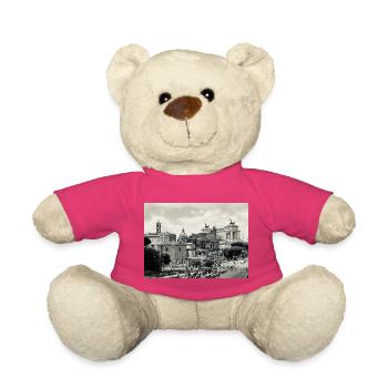 Rome sépia : Colisée et place - Nounours - rose - Devant