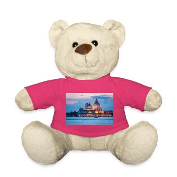 Santa Maria della Salute in Venedig am Abend - Teddy - Pink - Vorne