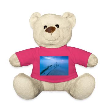 Blue hour sur la plage ouest - Nounours - rose - Devant