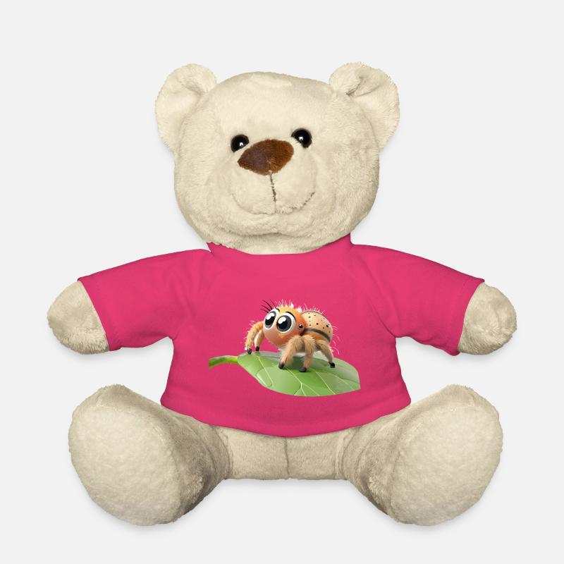 Neugierige kleine Philippus-Spinne auf einem Blatt - Teddy - Pink
