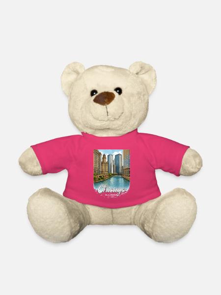 Chicago Illinois - Teddy - Pink