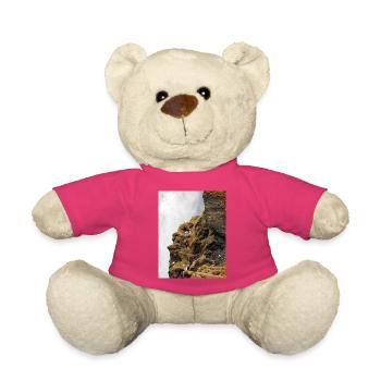 Seevögel, die auf der Klippe nahe dem Wasserfall sitzen, sitzen - Teddy - Pink - Vorne