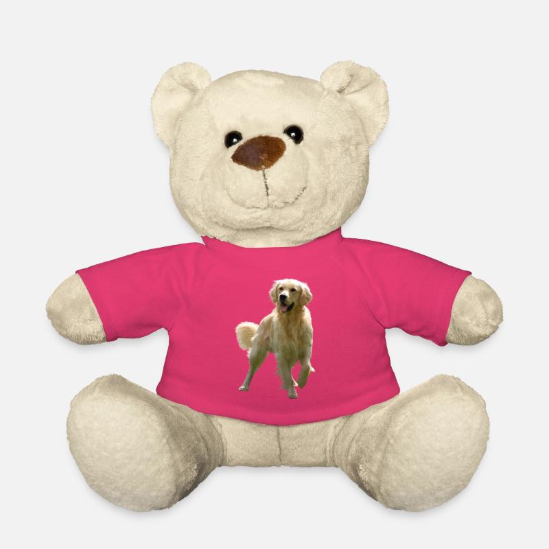Golden Retriever - Teddy - Pink