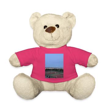 Panorama Tennisanlage über Stadt - Teddy - Pink - Vorne