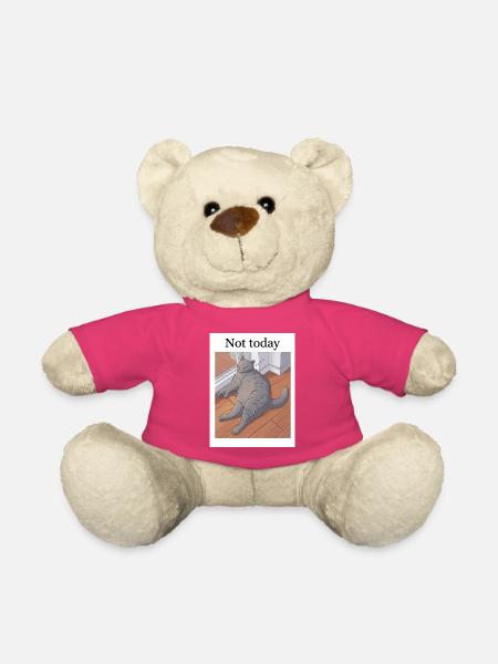 Not today Katze - Teddy - Pink