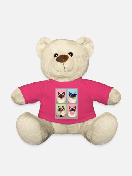 Katzen Ragdoll Katze - Teddy - Pink
